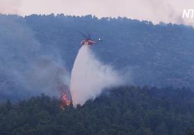 В центральной Греции тушат сильный лесной пожар
