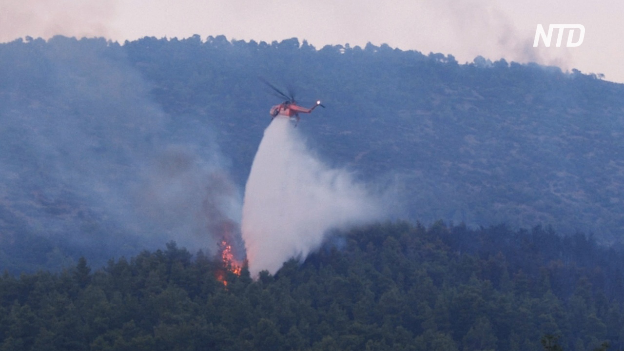 В центральной Греции тушат сильный лесной пожар
