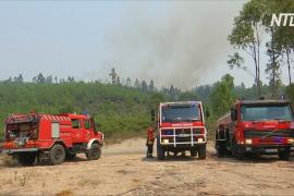 Более 1000 пожарных пытаются потушить пламя в центральной Португалии