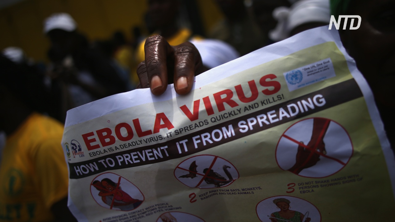 ВОЗ объявила эпидемию Эболы международной ЧС