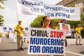 20 лет преследований: по всему миру требуют остановить убийства в Китае