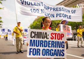 20 лет преследований: по всему миру требуют остановить убийства в Китае
