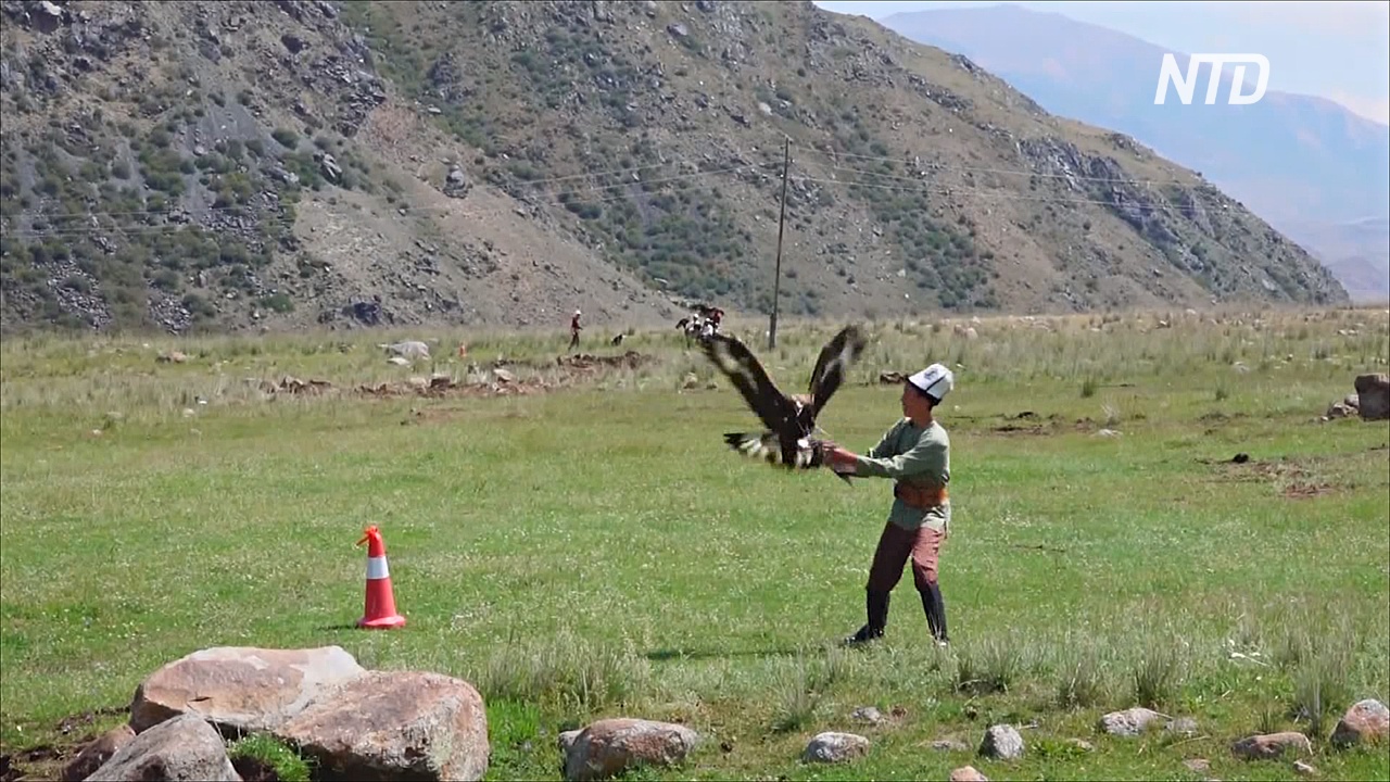 «Салбурун» в Кыргызстане: охота с луком, беркутами и тайганами