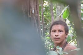 Бразильского аборигена из изолированного племени сняли на видео