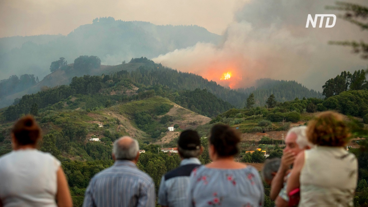 Пожар на Канарских островах: эвакуировано 9000 человек