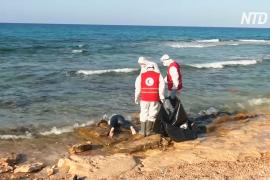 ООН: у берегов Ливии погибло и пропало без вести не менее 40 мигрантов