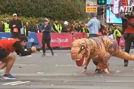 Более 80 тыс. человек поучаствовали в забеге в Сиднее