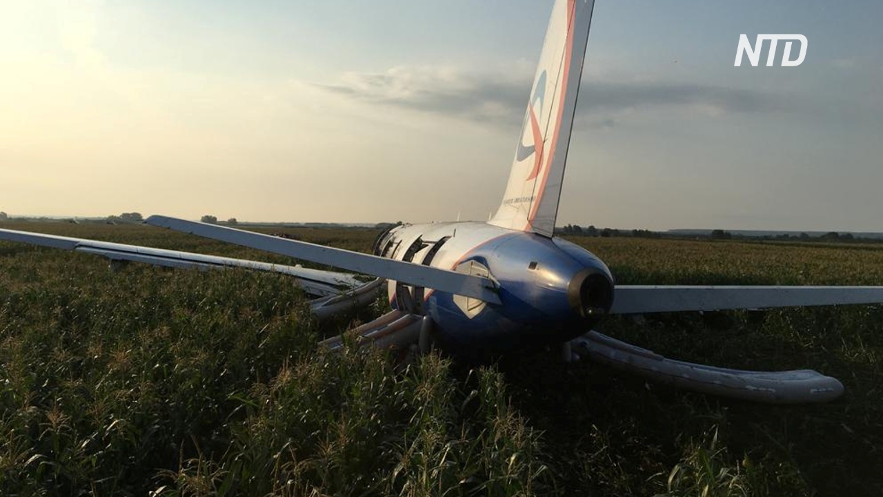 Власти наградят пилотов, посадивших авиалайнер в поле под Москвой