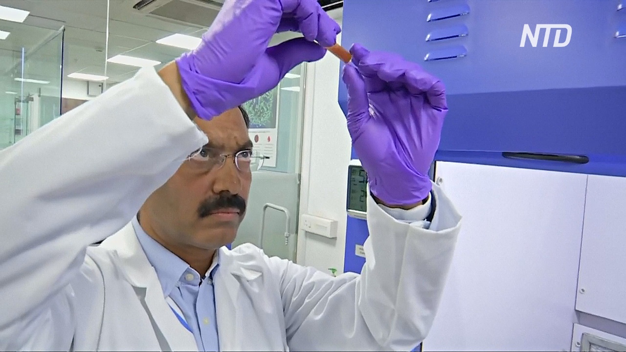 Индийские учёные научились обнаруживать рак на ранних стадиях