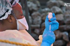 Учёные создали лекарства от Эболы, которые снижают смертность до 10%