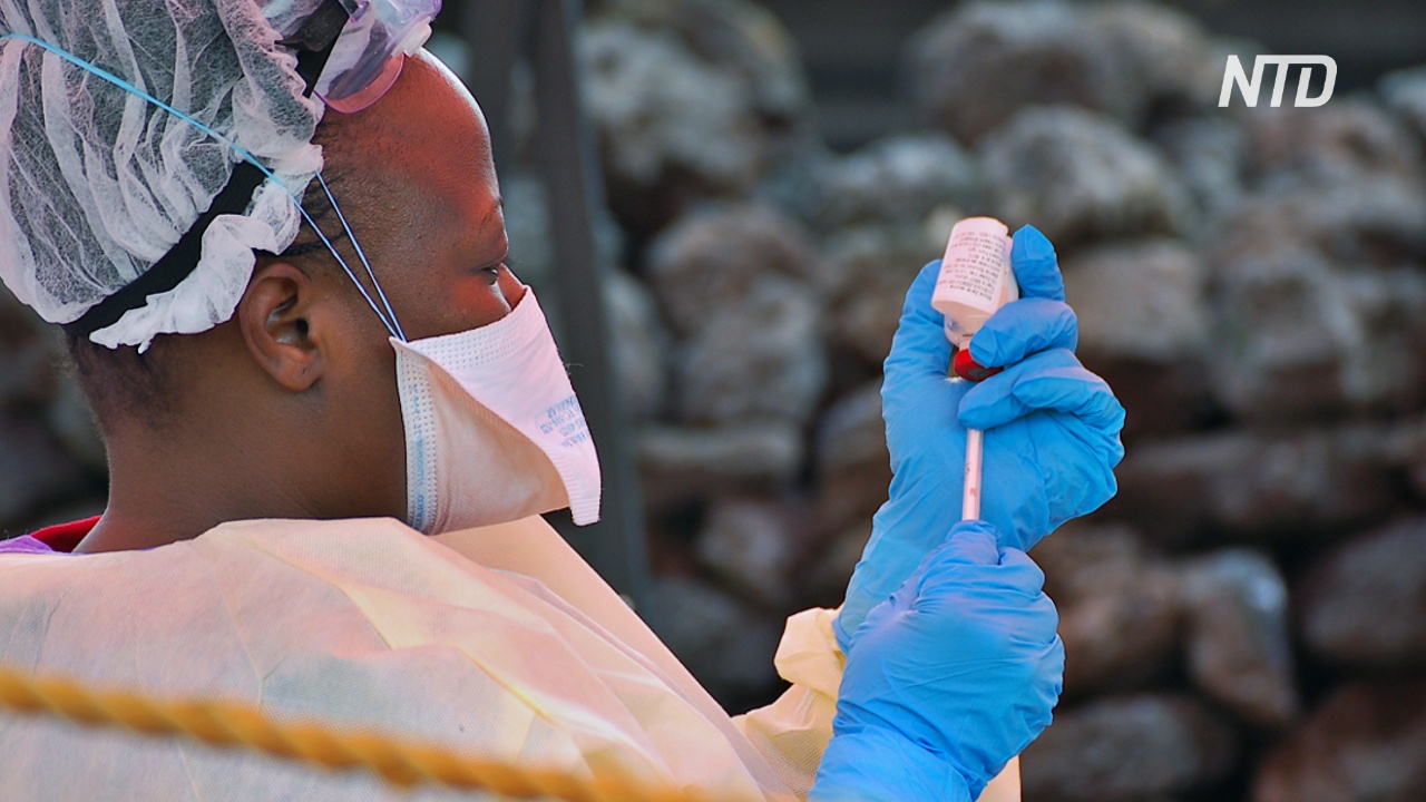 Учёные создали лекарства от Эболы, которые снижают смертность до 10%