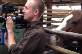 Игривая лошадь пристаёт к оператору во время съёмки. Смешное видео.