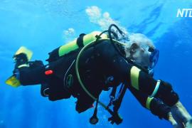 Старейший в мире аквалангист: 96-летний дайвер побил свой рекорд