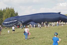 Слабый ветер не смог помешать фестивалю воздушных змеев в России