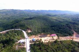 Новую столицу Индонезии построят среди джунглей