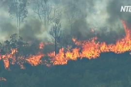 Лесные пожары в Австралии начались раньше обычного