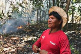 Пожары в Амазонке угрожают местным племенам