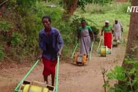 Чудо-колесо помогает кенийкам носить домой бутыли с водой