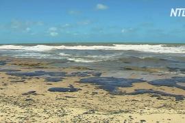 Нефть, покрывшая 1500 км пляжей Бразилии, может быть из Венесуэлы