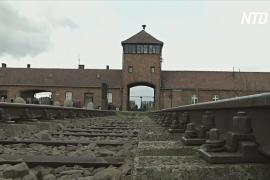 Бывший лагерь Освенцим отреставрируют к 75-летию освобождения