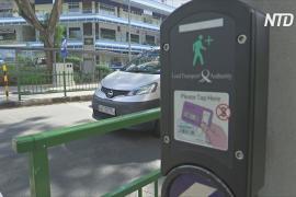 Успеть перейти улицу: «умные» светофоры в Сингапуре помогают пожилым