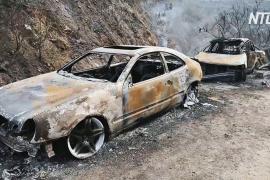 В Ливане горят леса, есть жертвы