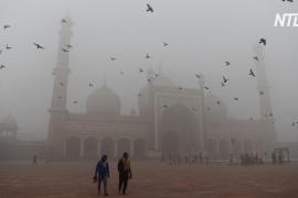 Подобно выкуриванию 50 сигарет в день: Нью-Дели окутал густой смог