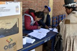 ОАГ начала проверять результаты президентских выборов в Боливии