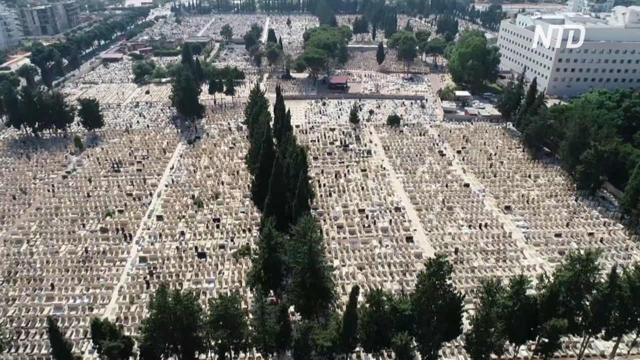 Приложение помогает ориентироваться на огромных кладбищах в Израиле