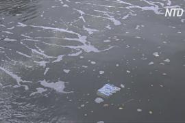 Большой пузырчатый барьер блокирует пластик на канале Амстердама