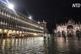 Наводнение в Венеции привлекает туристов
