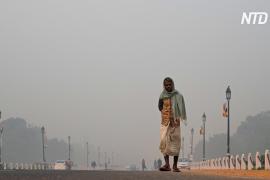 Нью-Дели заволокло дымом: власти закрыли школы на два дня