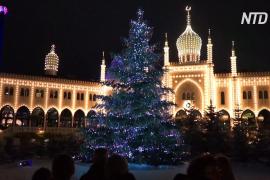Рождественские ёлки: как столицы Европы готовятся к празднику