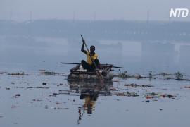 Жителей Нью-Дели беспокоит не только смог, но и состояние реки Ямуны