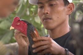 Петухи из отходов и перьев: уникальные творения жителя острова Ява