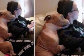 Благодарный пёс придумал, как обнять свою хозяйку