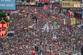 Полгода протестов: в Гонконге прошла самая массовая акция за несколько месяцев