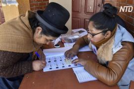 Отчёт ОАГ подтвердил множественные нарушения на выборах в Боливии