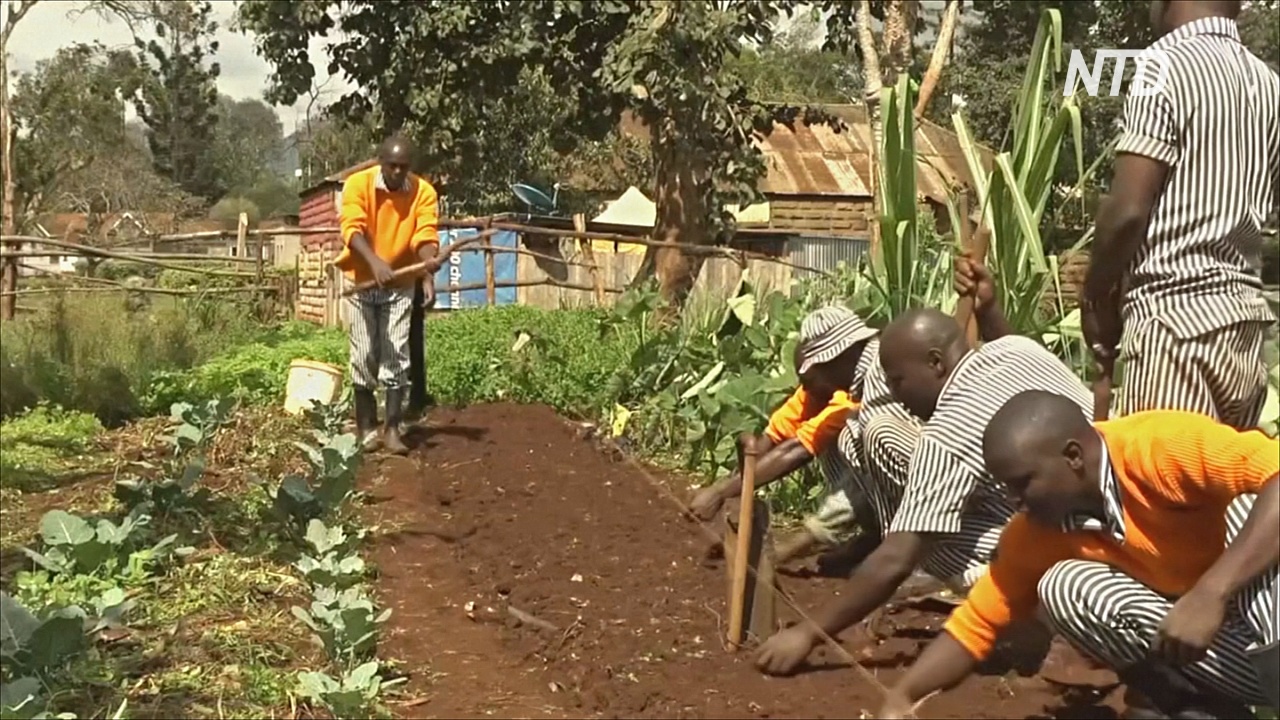 Реабилитация трудом: заключённых Кении учат разным профессиям