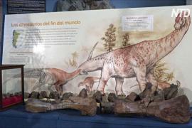 Аргентинские учёные обнаружили новые виды динозавров