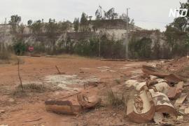 Последствия золотодобычи в ЮАР: грязные воздух и почва и больные люди