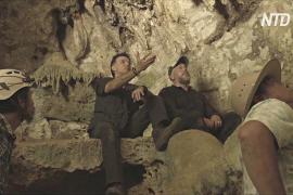 Рисунки в пещерах возрастом 44 тыс. лет пролили свет на верования древних людей