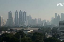 В Бангкок вернулся густой смог