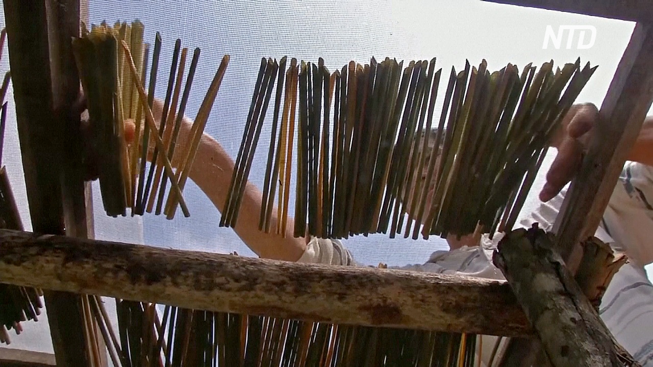 Вьетнамец делает коктейльные трубочки из травы