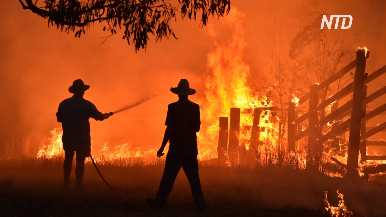 Лесные пожары охватили обе стороны Австралии