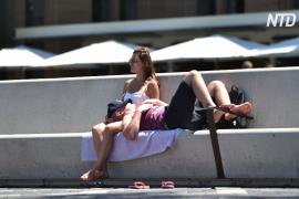 В Австралии зафиксировали самый жаркий день в истории
