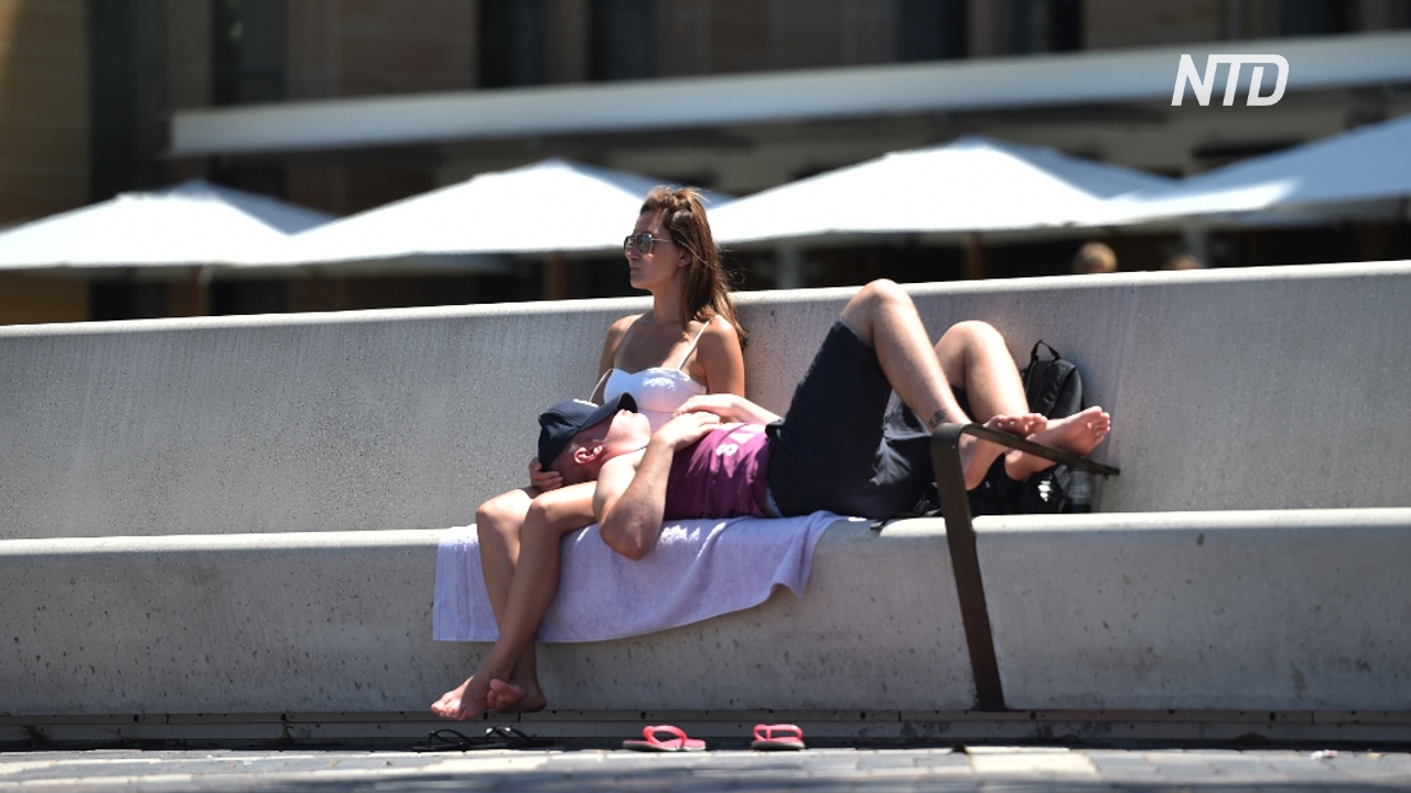 В Австралии зафиксировали самый жаркий день в истории