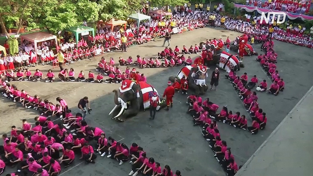 Слоны-Санты поздравили с Рождеством тайских школьников