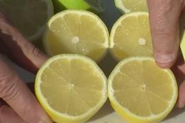«Покупателей раздражают косточки»: в США продают лимоны без косточек