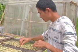 Коктейльные трубочки из травы: как бизнесмен спасает природу